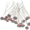 Light Dependent Register (LDR) Photo Resistor